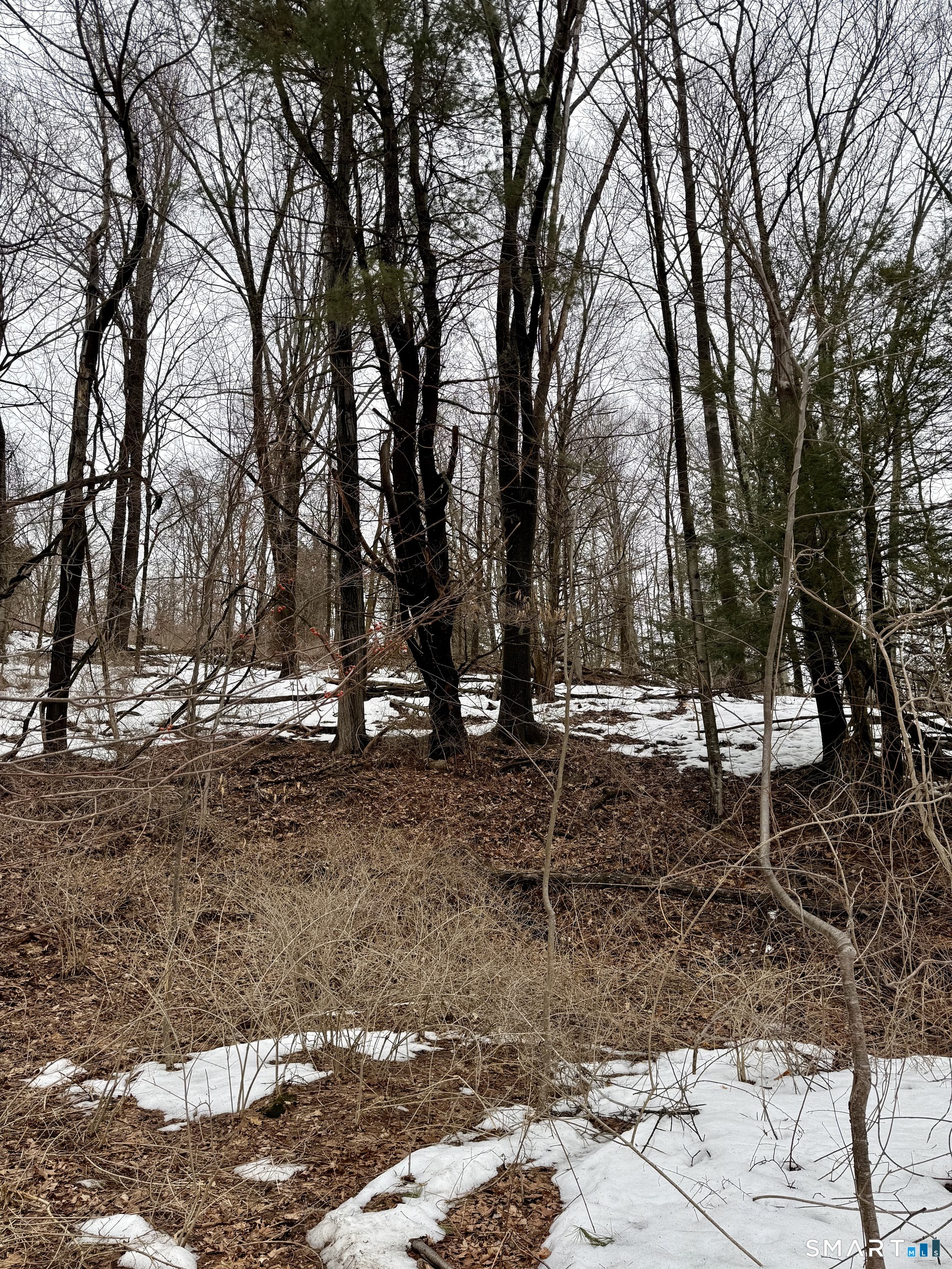 1092 Hickory Hill Road Thomaston, CT 06787 - Photo 2 of 5