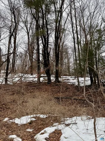 a view of outdoor space with trees