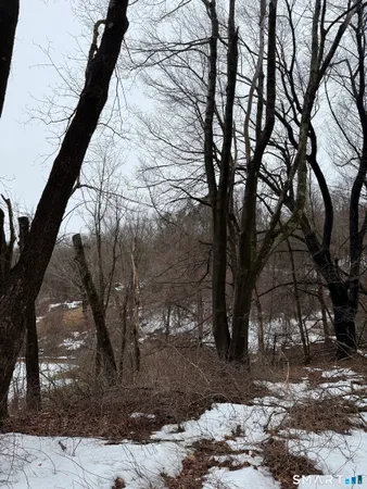 a view of a yard with plants and trees