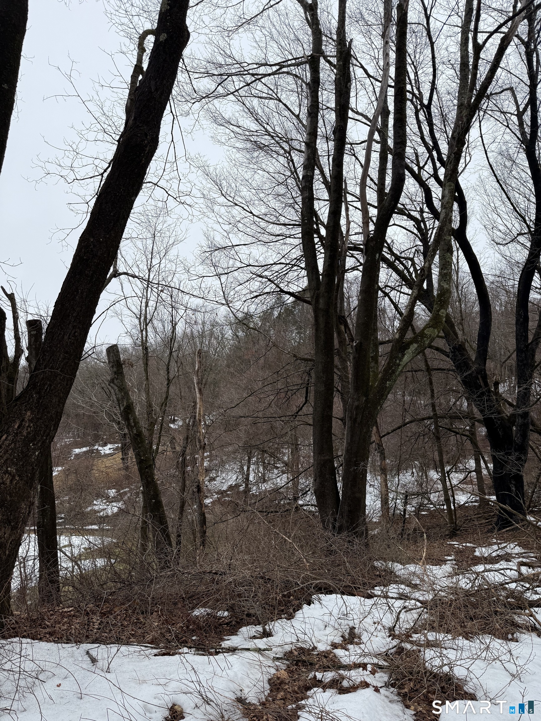 1092 Hickory Hill Road Thomaston, CT 06787 - Photo 5 of 6