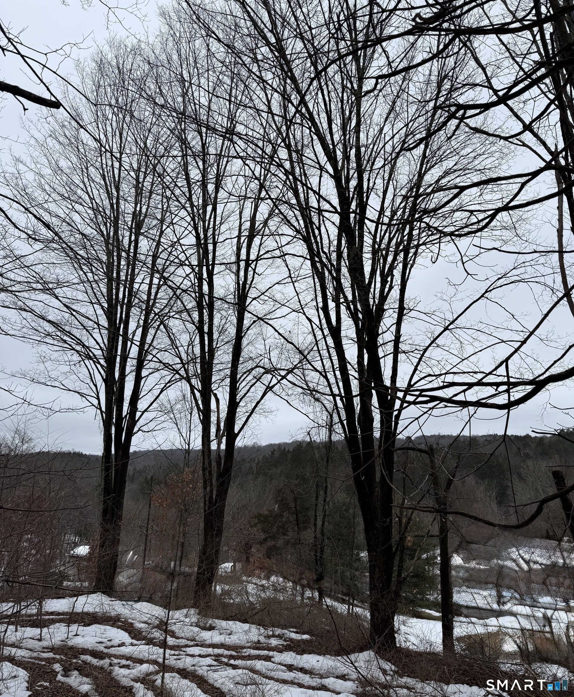 1092 Hickory Hill Road Thomaston, CT 06787 - Photo 5 of 5