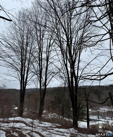 a view of a trees with a yard