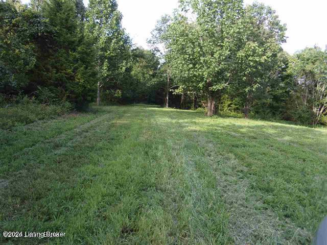 175 Drake Ridge Road Bloomfield, KY 40008 - Photo 13 of 16 20200810225544003495000000-o