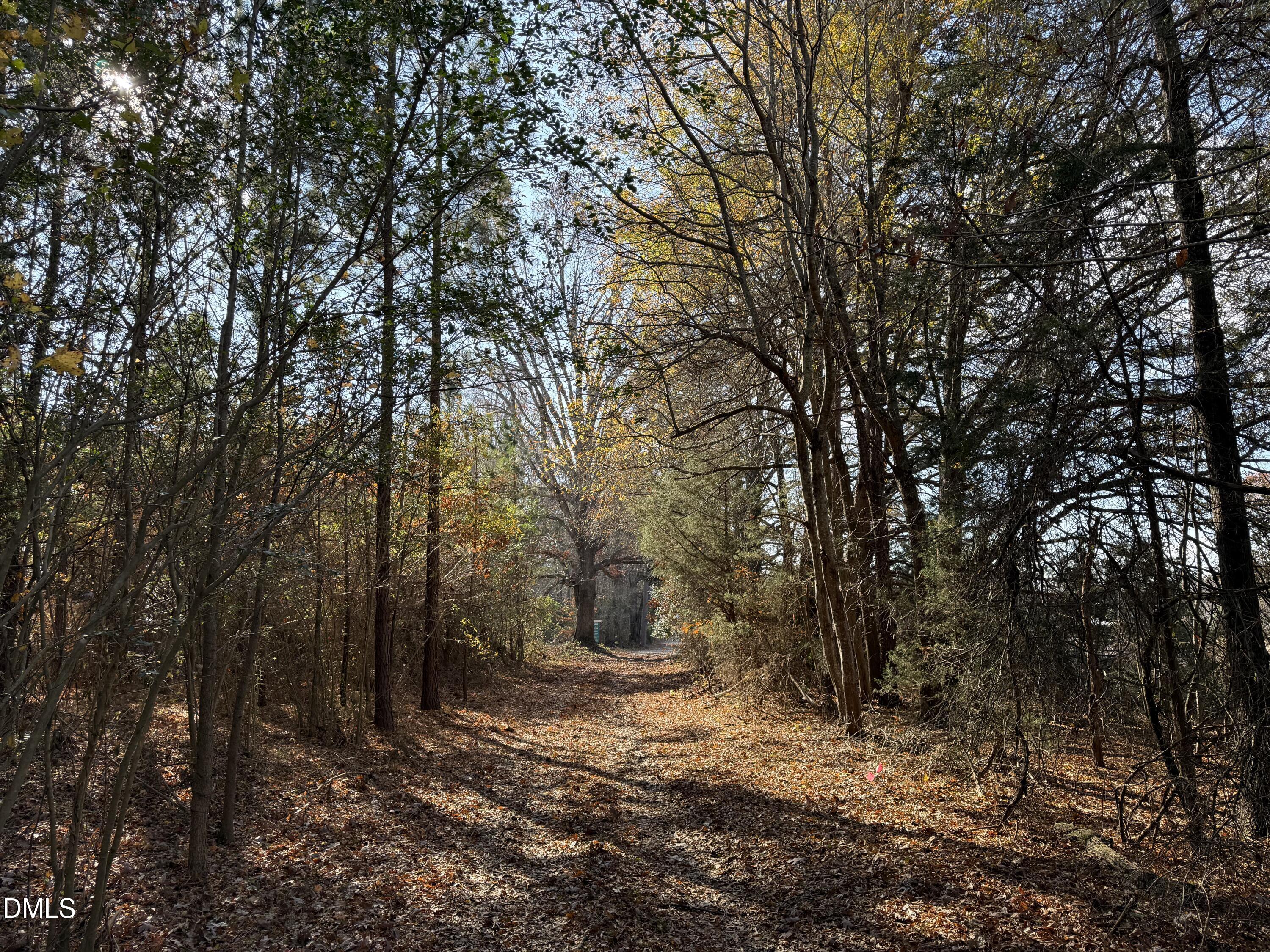 1 Wolf Tree Way Efland, NC 27243 - Photo 24 of 32 a view of a forest with trees in the background