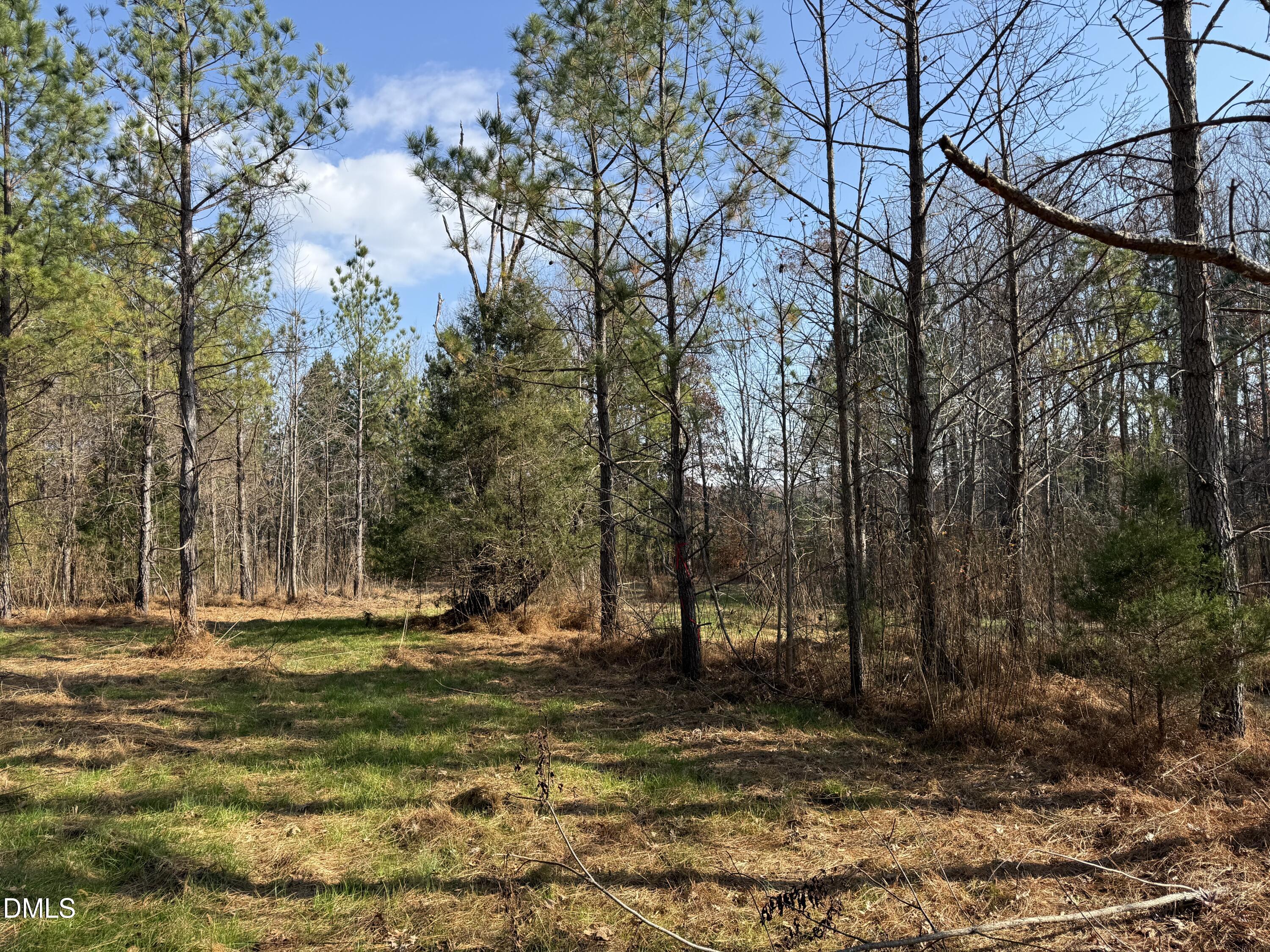 1 Wolf Tree Way Efland, NC 27243 - Photo 25 of 32 a view of park