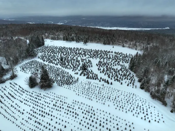 $550,000 | 0 Jordan Hill Road, North Stratford, NH 03590