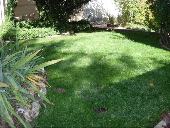 477 Roma Avenue Prescott, AZ 86301 - Photo 7 of 24 Additional Photo