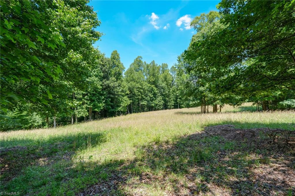 1406 Gibbs Road Reidsville, NC 27320 - Photo 41 of 50