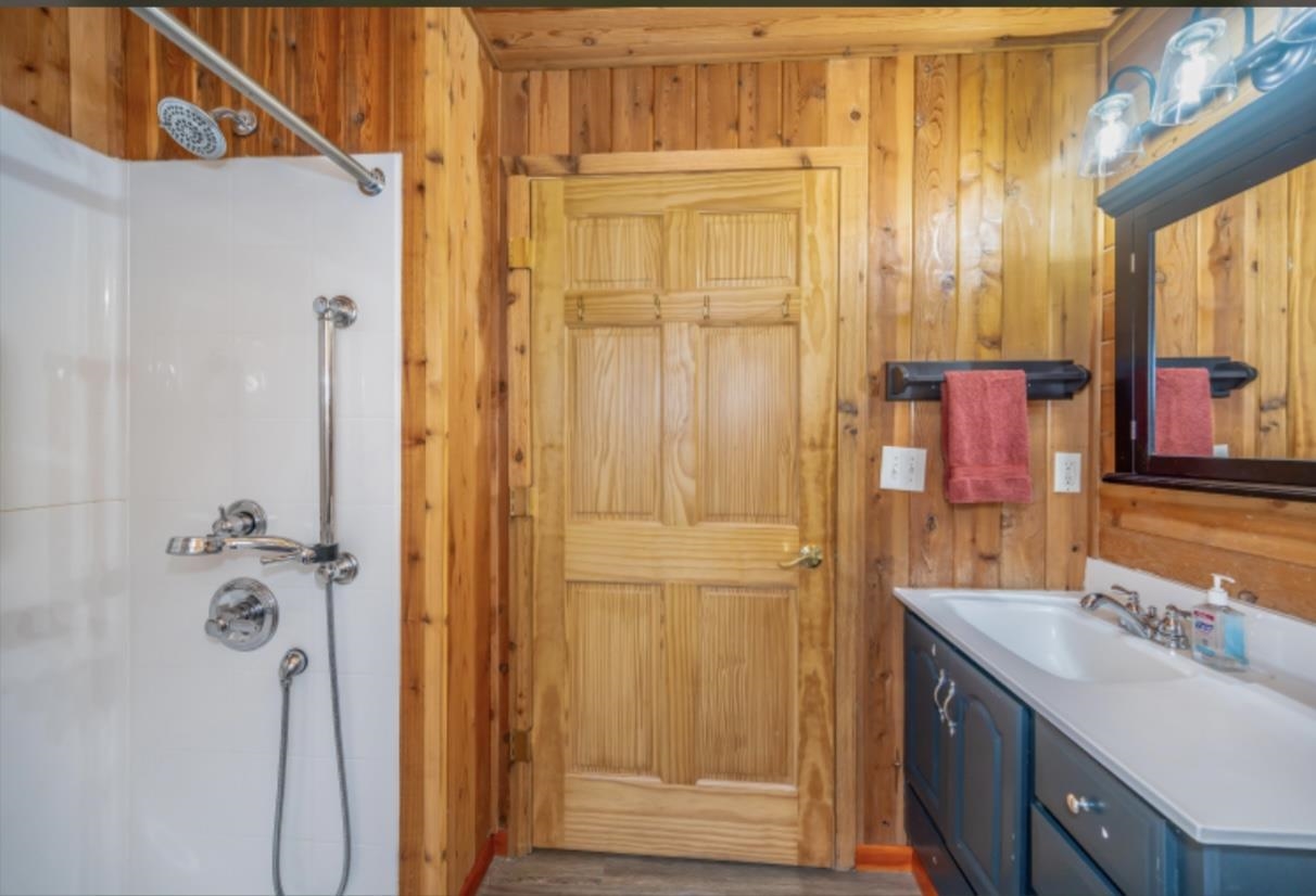 126 Jay Cooke Road Esko, MN 55733 - Photo 13 of 19 Bathroom with vanity, wood walls, and dark wood-style flooring