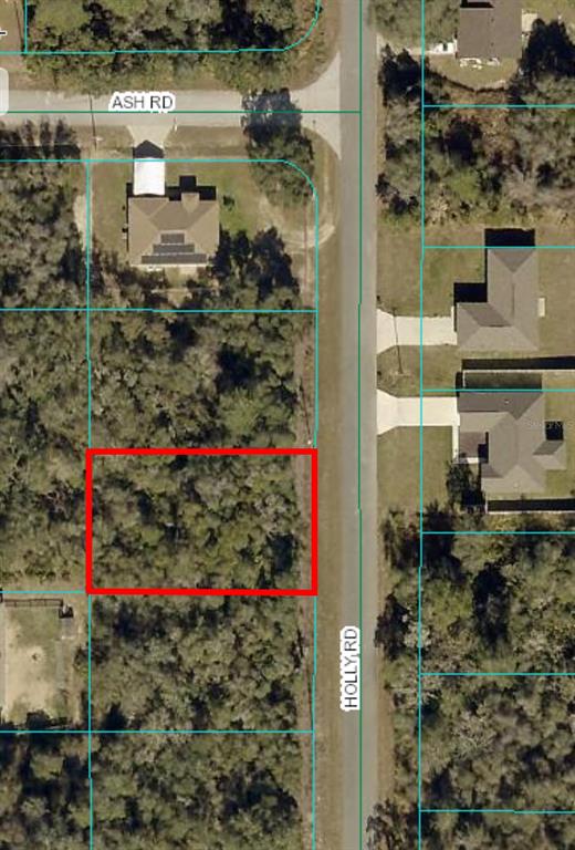 Holly Road Ocala, FL 34472 - Photo 1 of 1