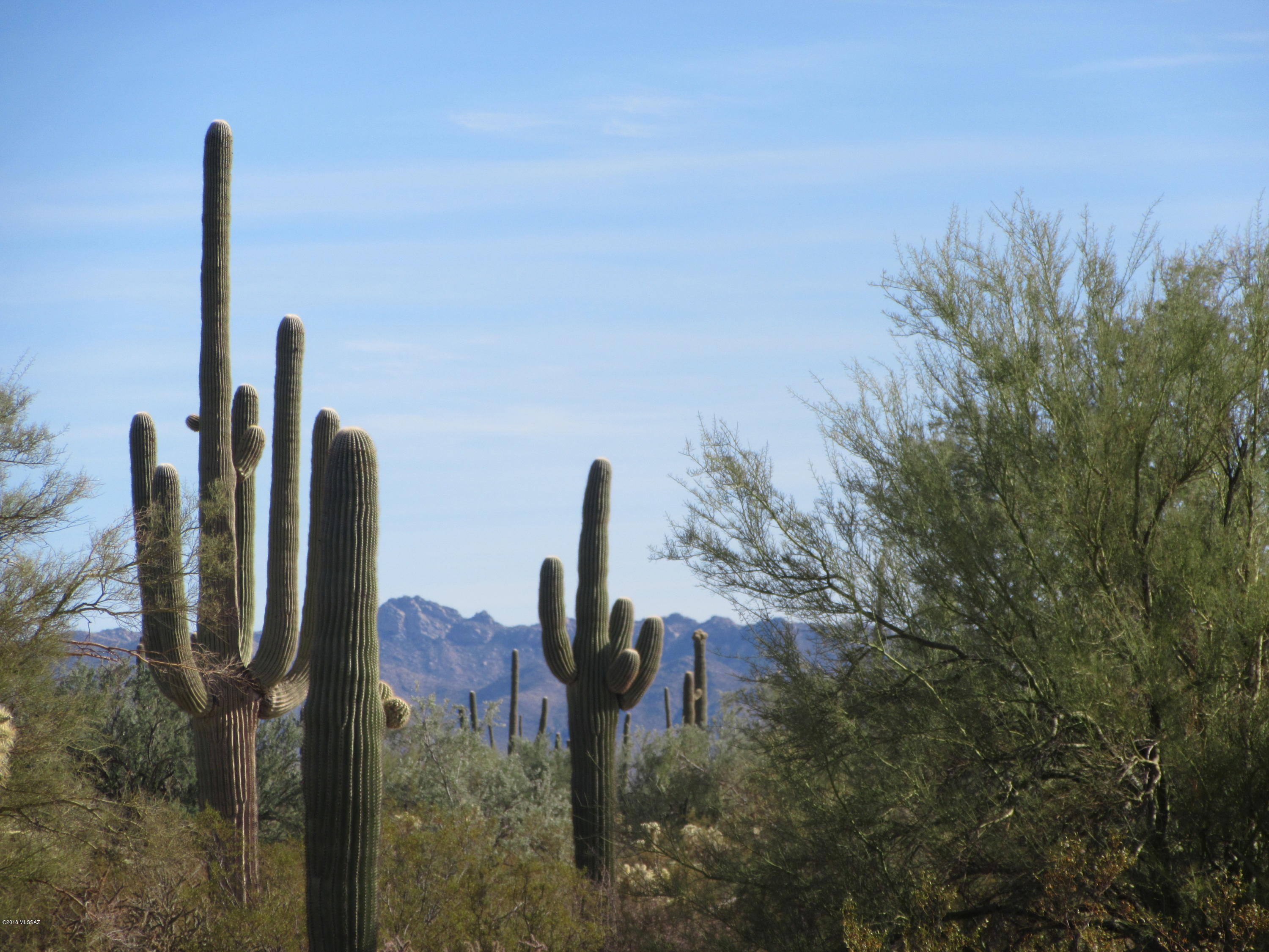 South Cattle Tank Road, Unit 20 Marana, AZ 85658 - Photo 16 of 20
