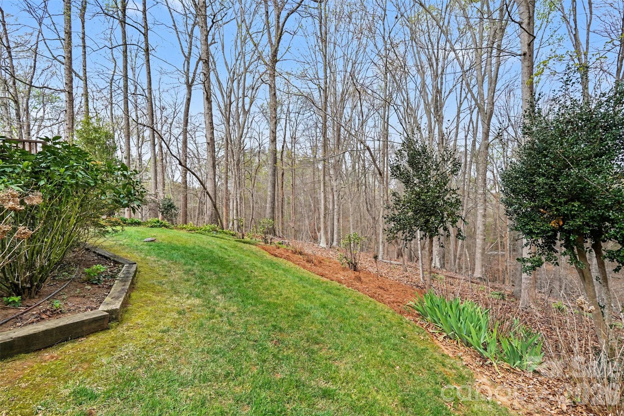 212 Deer Chase Road Shelby, NC 28150 - Photo 38 of 40 a backyard of a house with lots of green space