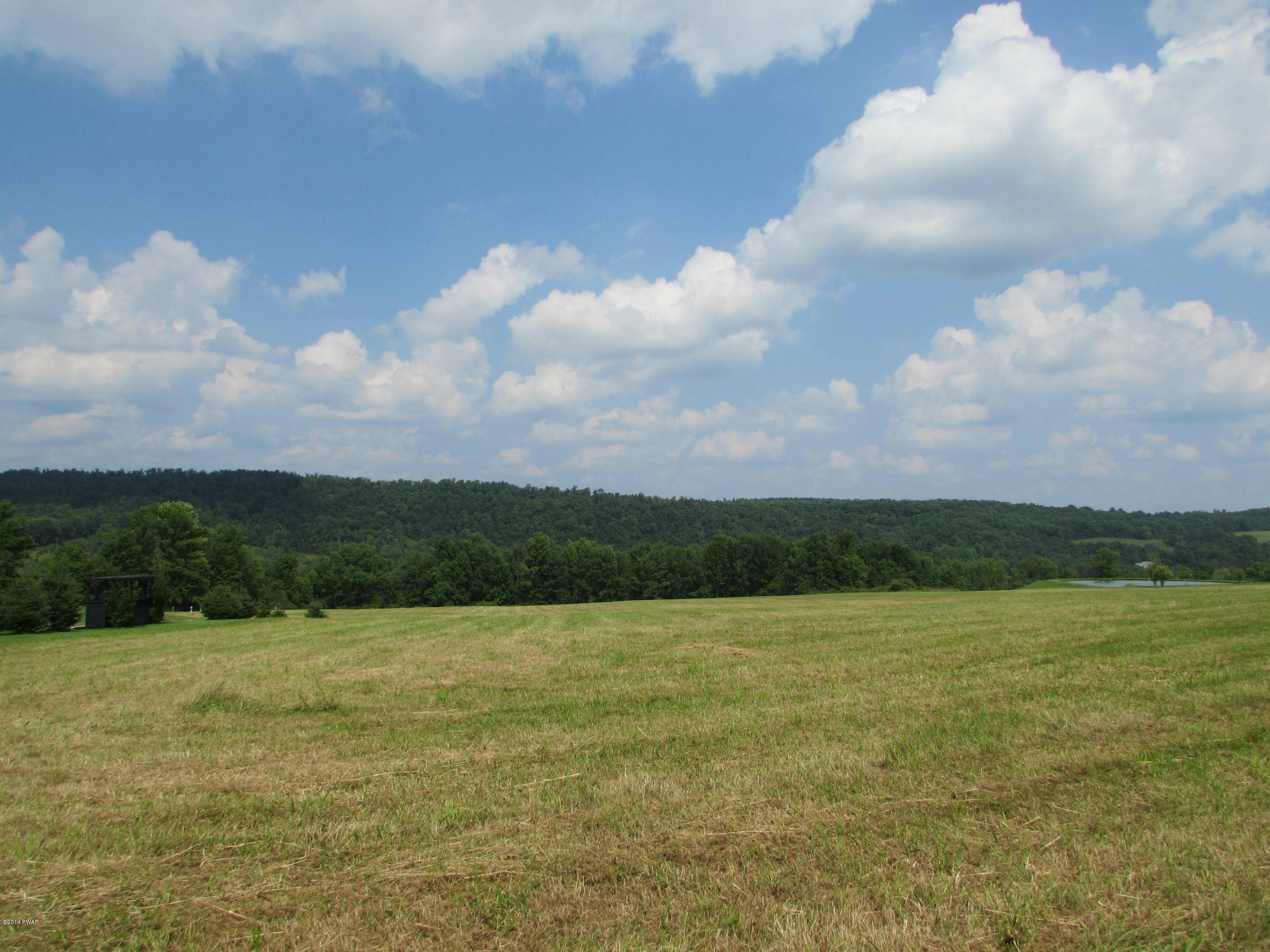 Rutledgedale Road Tyler Hill, PA 18469 - Photo 2 of 3