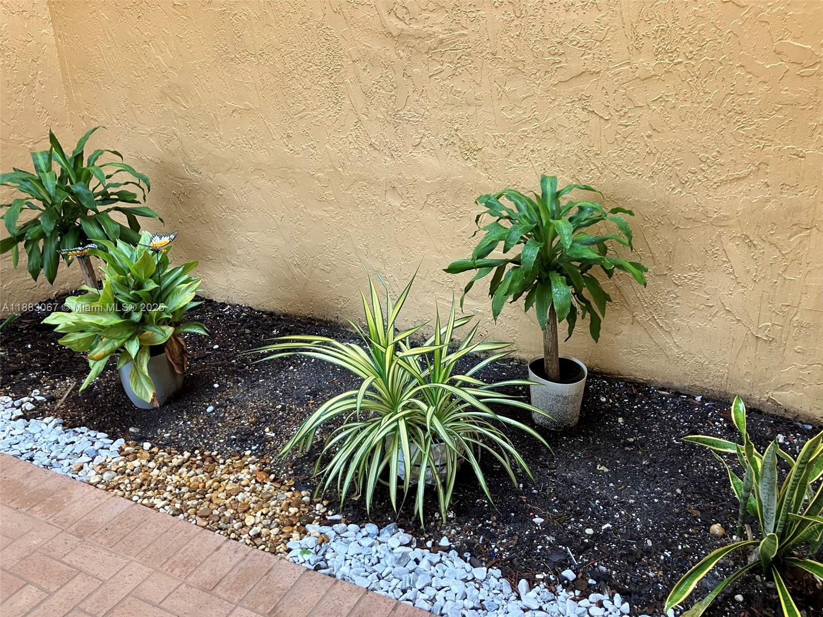 9311 Southwest 4th Street, Unit 104B Miami, FL 33174 - Photo 12 of 21 a couple of plants and trees in front of a garden