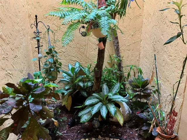 a view of a backyard with a garden