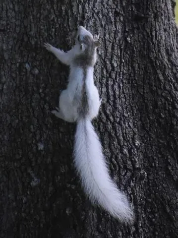a kitchen with a refrigerator and a sink