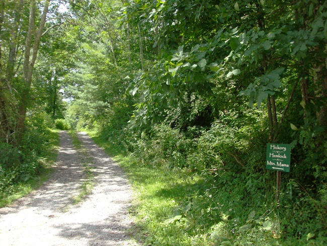 Hemlock Hickory Hill Road Slatyfork, WV 26291 - Photo 22 of 29 Gallery Image 22