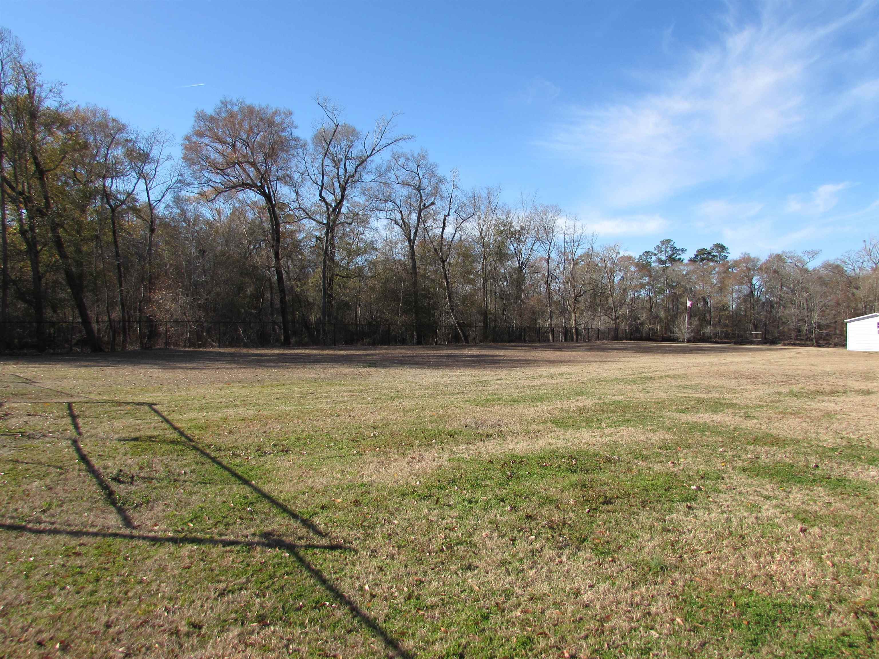 3429 River Road Nichols, SC 29581 - Photo 30 of 46 View from inside the fence and towards the river