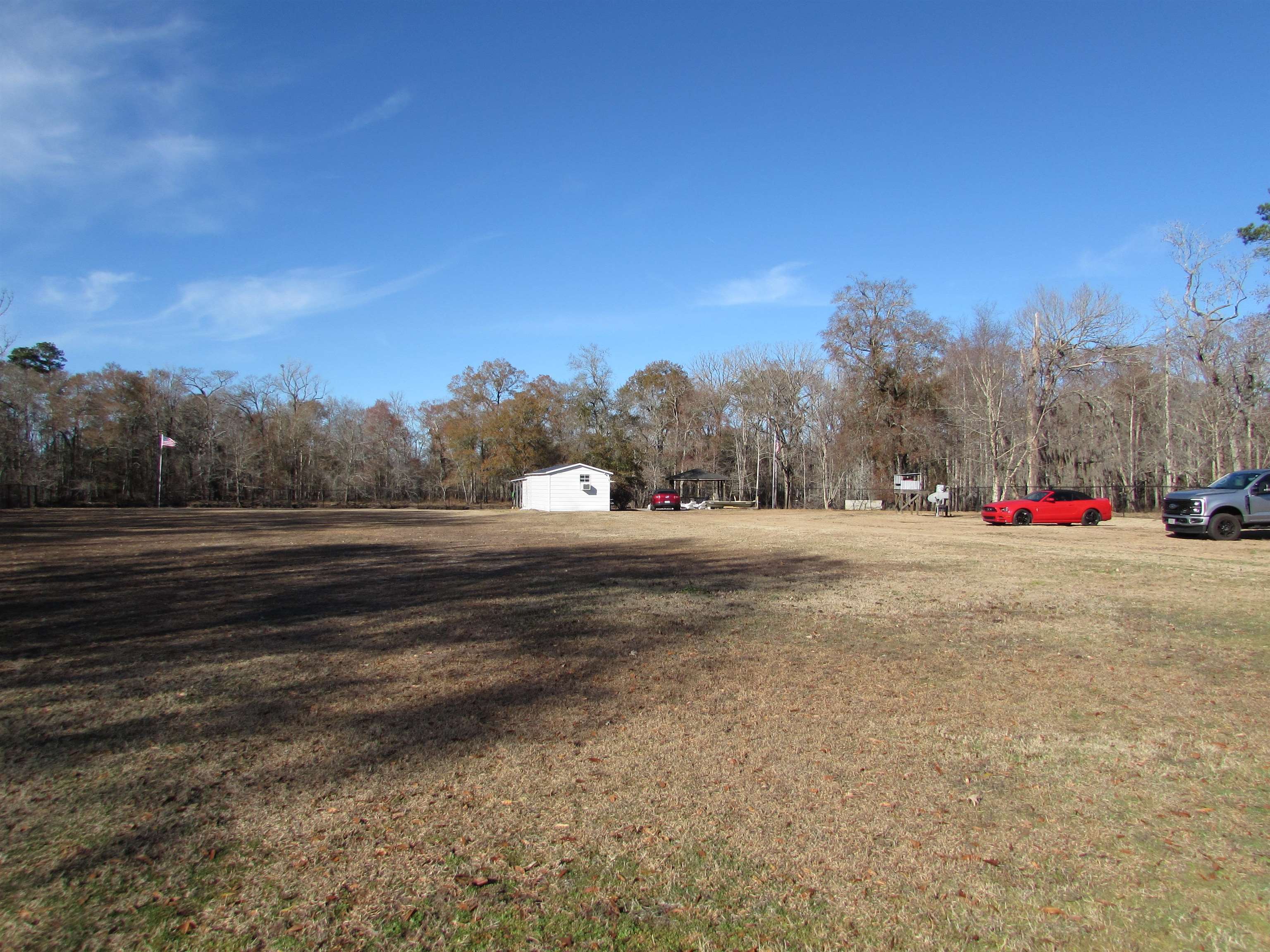 3429 River Road Nichols, SC 29581 - Photo 31 of 46 View from inside the fence and towards the river