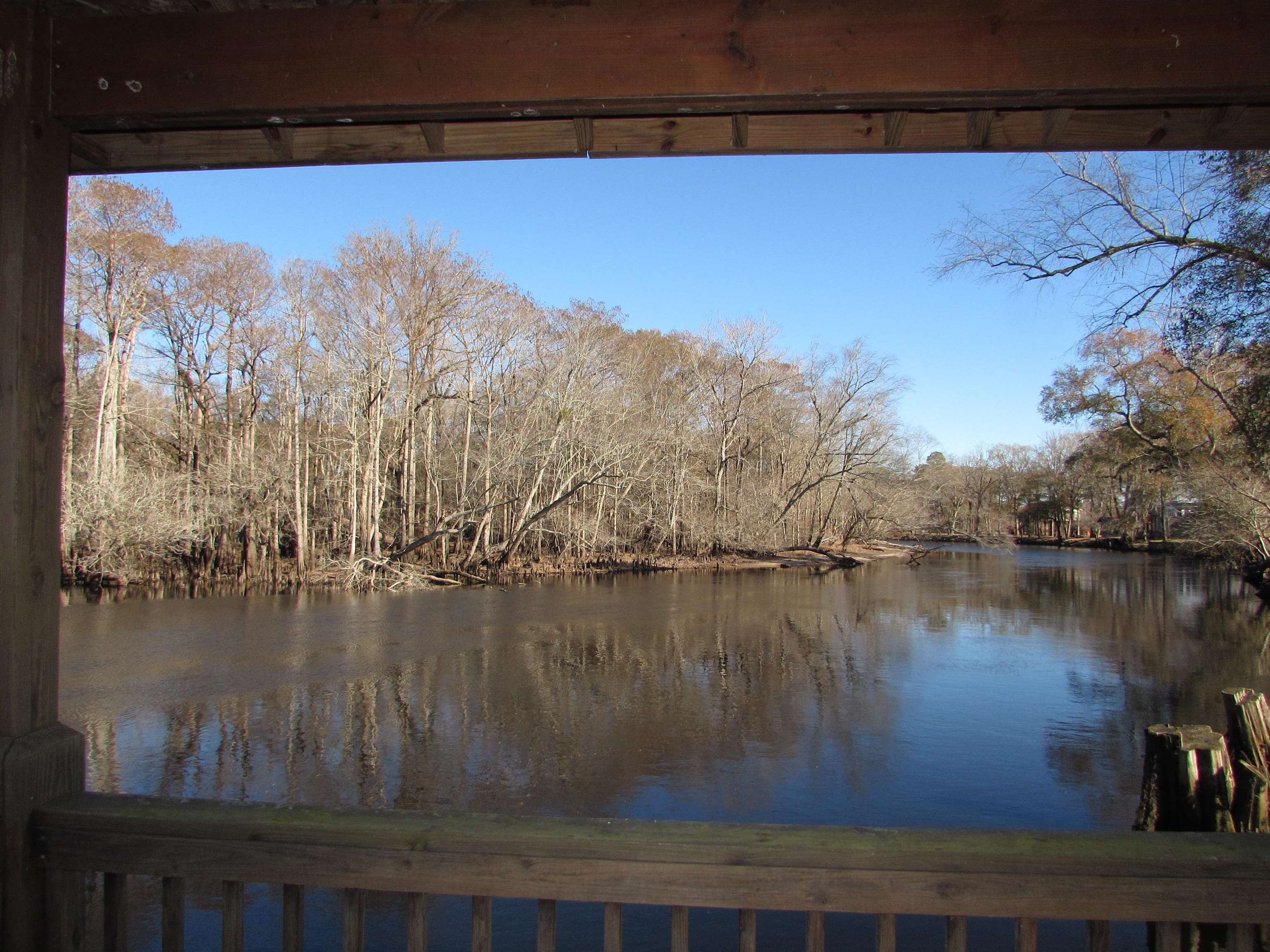3429 River Road Nichols, SC 29581 - Photo 38 of 46 View of the river from the gazebo