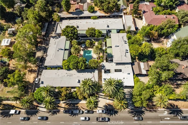 a view of a palm plant from a garden