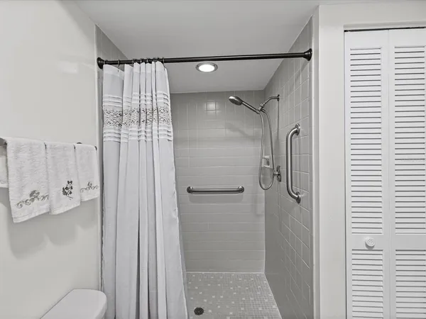 a bathroom with a shower and a toilet