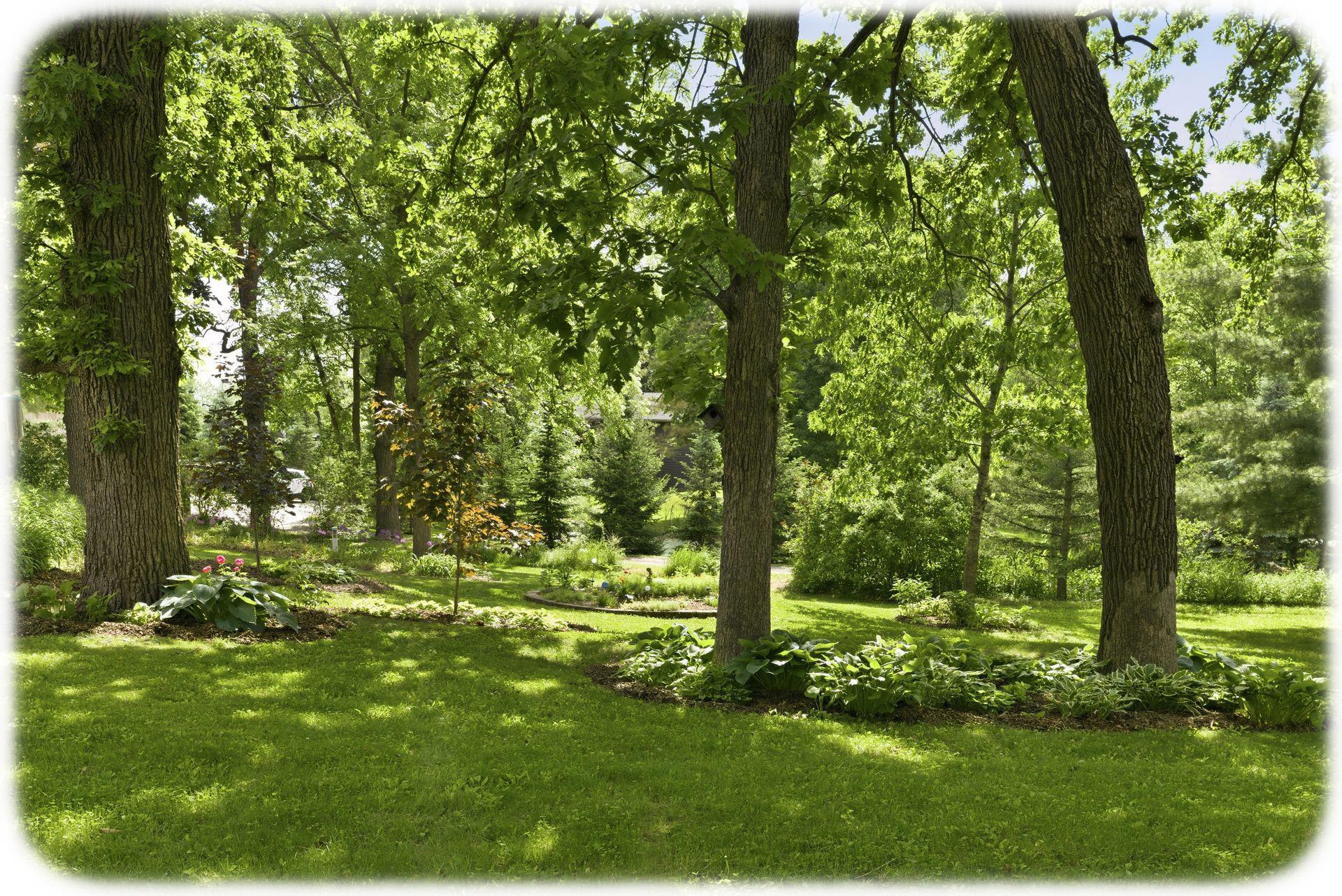 21527 Homestead Trail Corcoran, MN 55340 - Photo 58 of 72