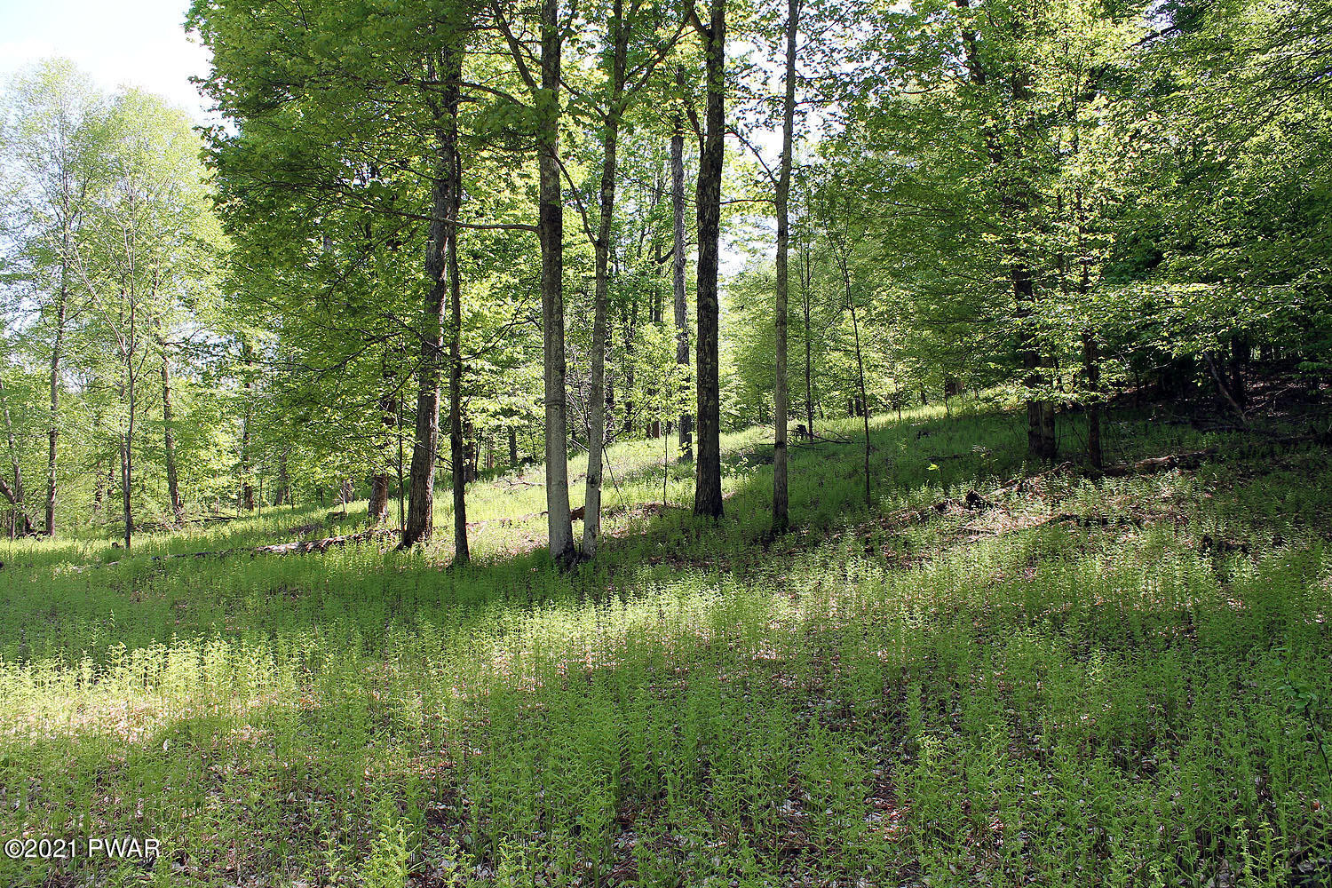 2 Robbs Road Damascus, PA 18415 - Photo 14 of 15