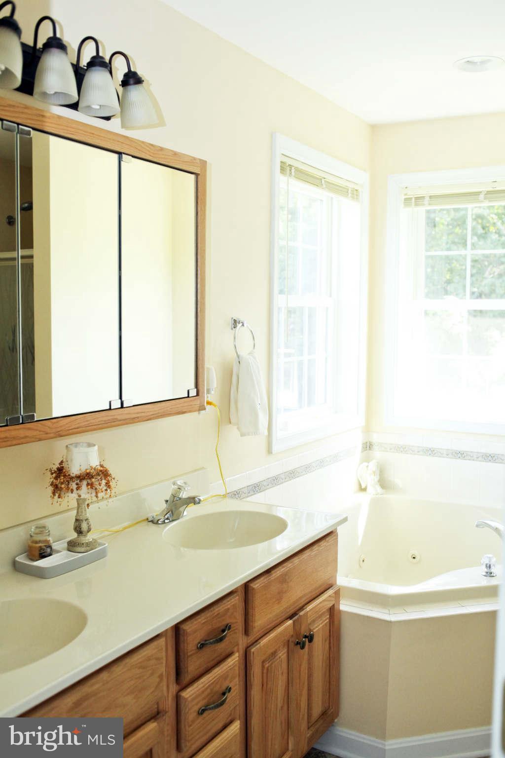 2815 Halter Road Westminster, MD 21158 - Photo 21 of 30 Bath (Master)