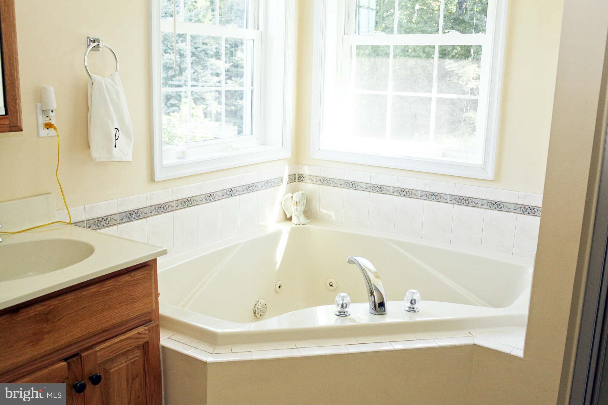 2815 Halter Road Westminster, MD 21158 - Photo 22 of 30 Bath (Master)
