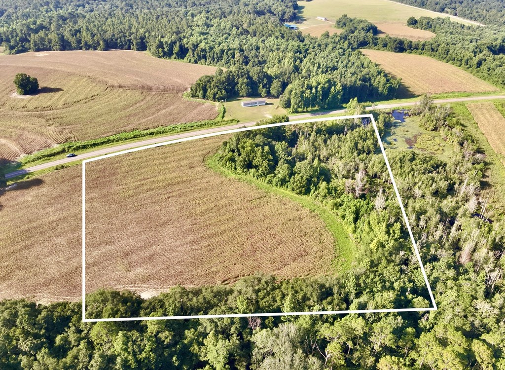 10.3-acres Red Oak Road Florala, AL 36442 - Photo 7 of 13