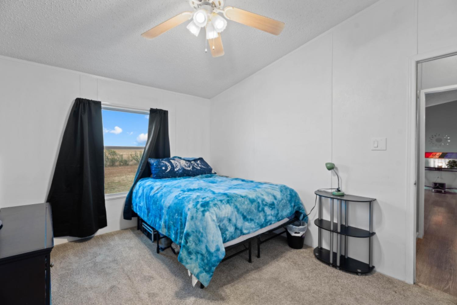 6007 County Road 6300 Lubbock, TX 79416 - Photo 20 of 27 Photo 20