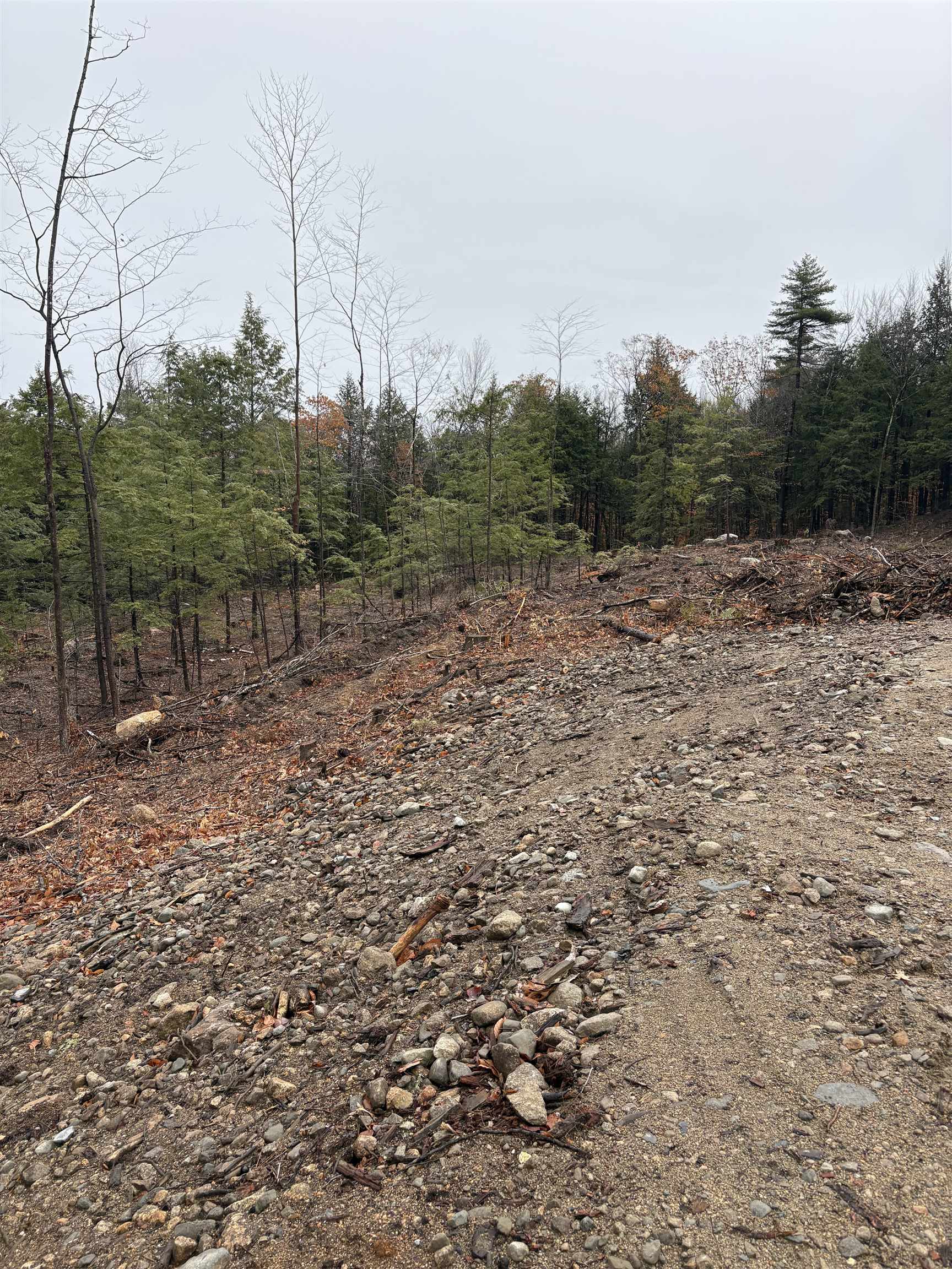 9 Sugar Loaf Drive, Unit 9 Ossipee, NH 03814 - Photo 3 of 11