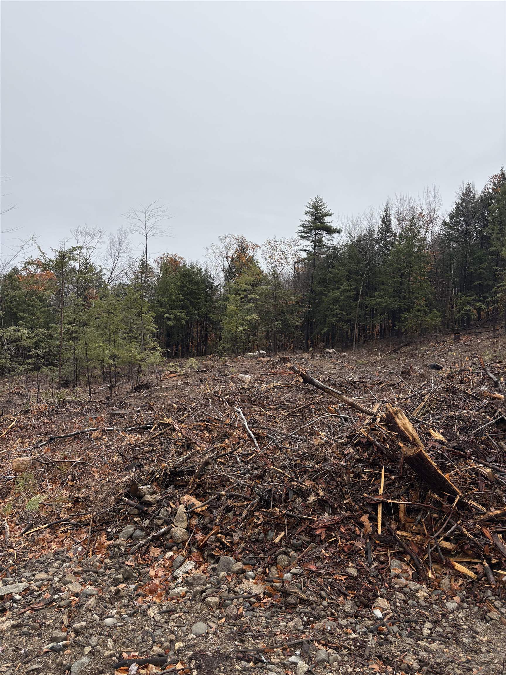 9 Sugar Loaf Drive, Unit 9 Ossipee, NH 03814 - Photo 4 of 11