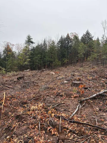 $54,900 | 9 Sugar Loaf Drive, Unit 9, Ossipee, NH 03814