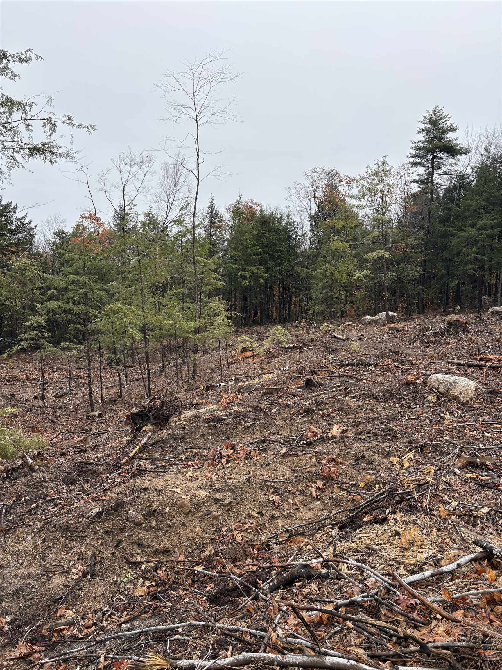 9 Sugar Loaf Drive, Unit 9 Ossipee, NH 03814 - Photo 6 of 11