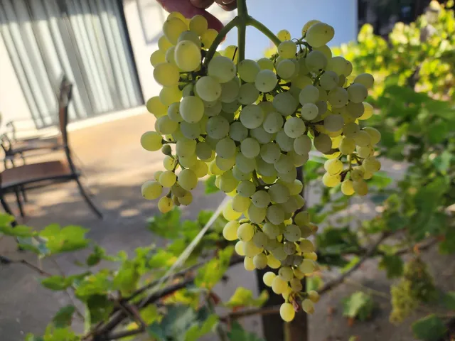 $640,000 | 605 Sandpiper Circle, Lodi, CA 95240