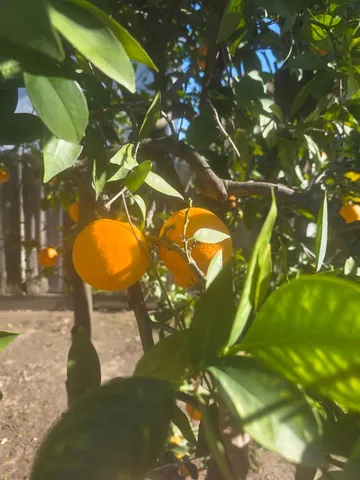 $640,000 | 605 Sandpiper Circle, Lodi, CA 95240