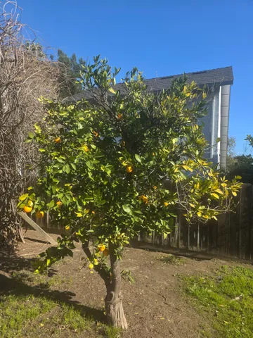 $640,000 | 605 Sandpiper Circle, Lodi, CA 95240