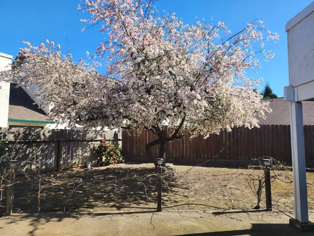 $640,000 | 605 Sandpiper Circle, Lodi, CA 95240