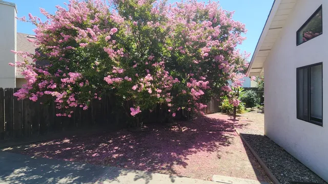 $640,000 | 605 Sandpiper Circle, Lodi, CA 95240