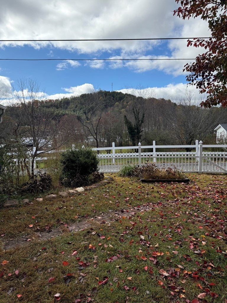 502 Powerhouse Road Independence, VA 24348 - Photo 11 of 57 Gallery Image 11