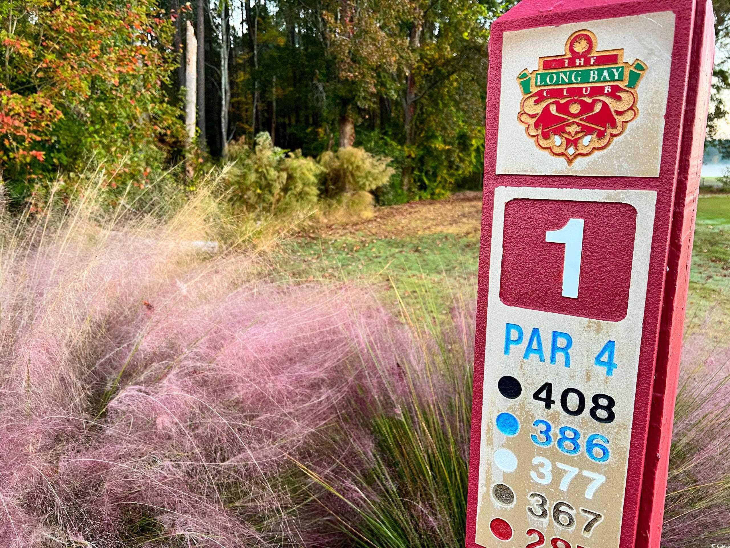 906 Foxtail Drive, Unit D44 Longs, SC 29568 - Photo 30 of 34