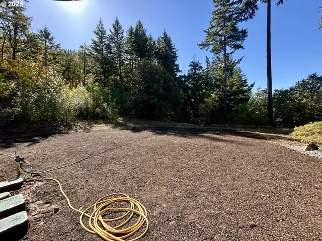 a view of outdoor space and yard