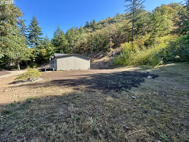 a view of a dry yard with trees