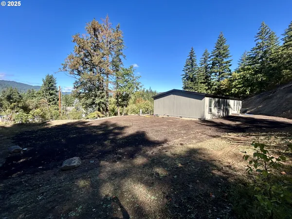 a view of a yard with a tree