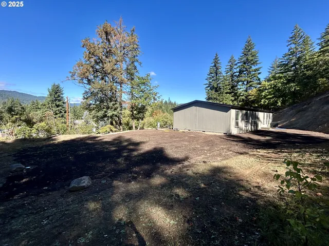 a view of a yard with a tree
