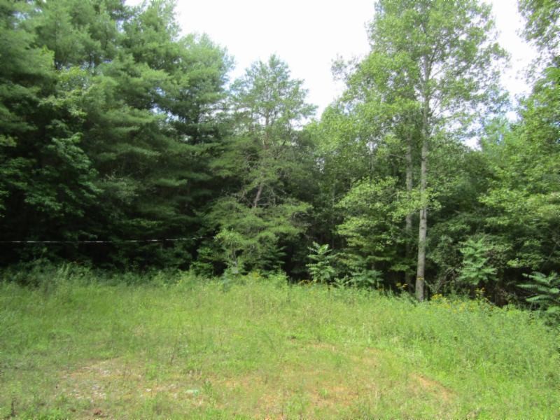 3 Bill Roberts Road Sunbright, TN 37872 - Photo 1 of 31 a view of a garden