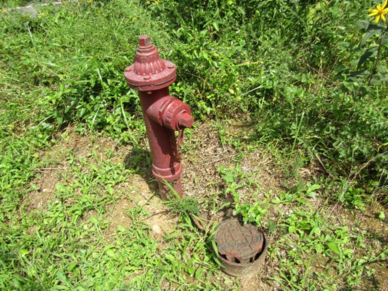 3 Bill Roberts Road Sunbright, TN 37872 - Photo 2 of 31 a view of a bird sitting next to a small yard