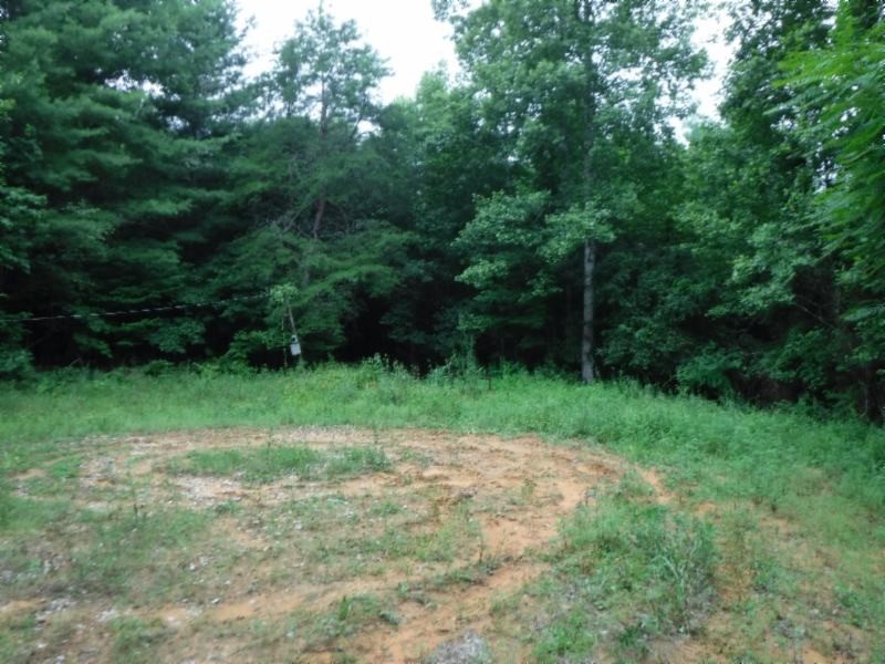 3 Bill Roberts Road Sunbright, TN 37872 - Photo 4 of 31 a view of a yard with a trees